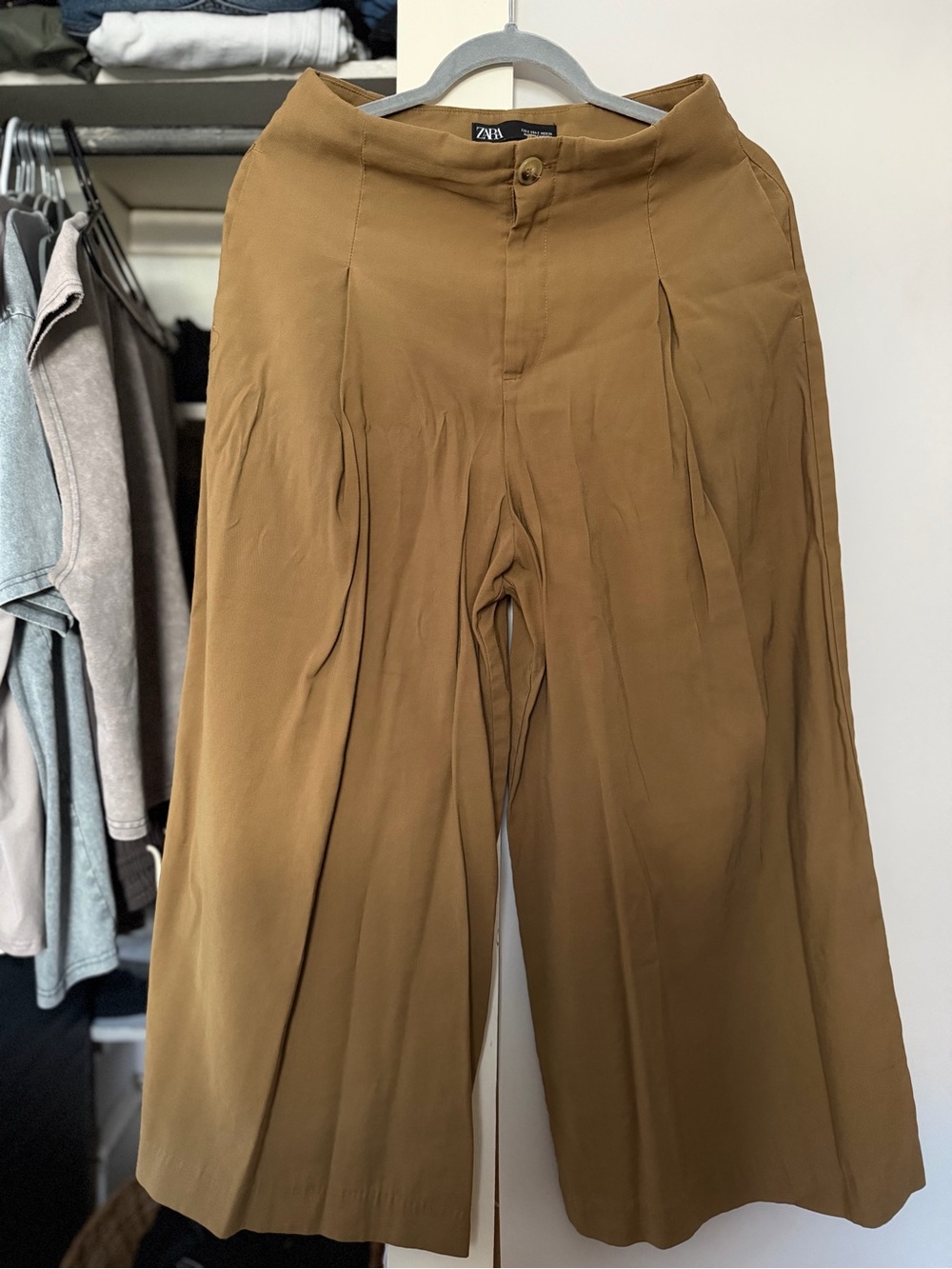 Zara Wide Leg Pleated Pants